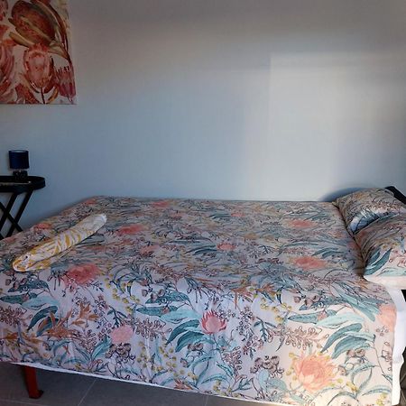 Special Inn Bed And Breakfast Windhoek Dış mekan fotoğraf